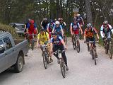 31 Rabotnica 20.04.08